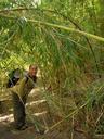Ashe under bamboo shoots along the trail.
